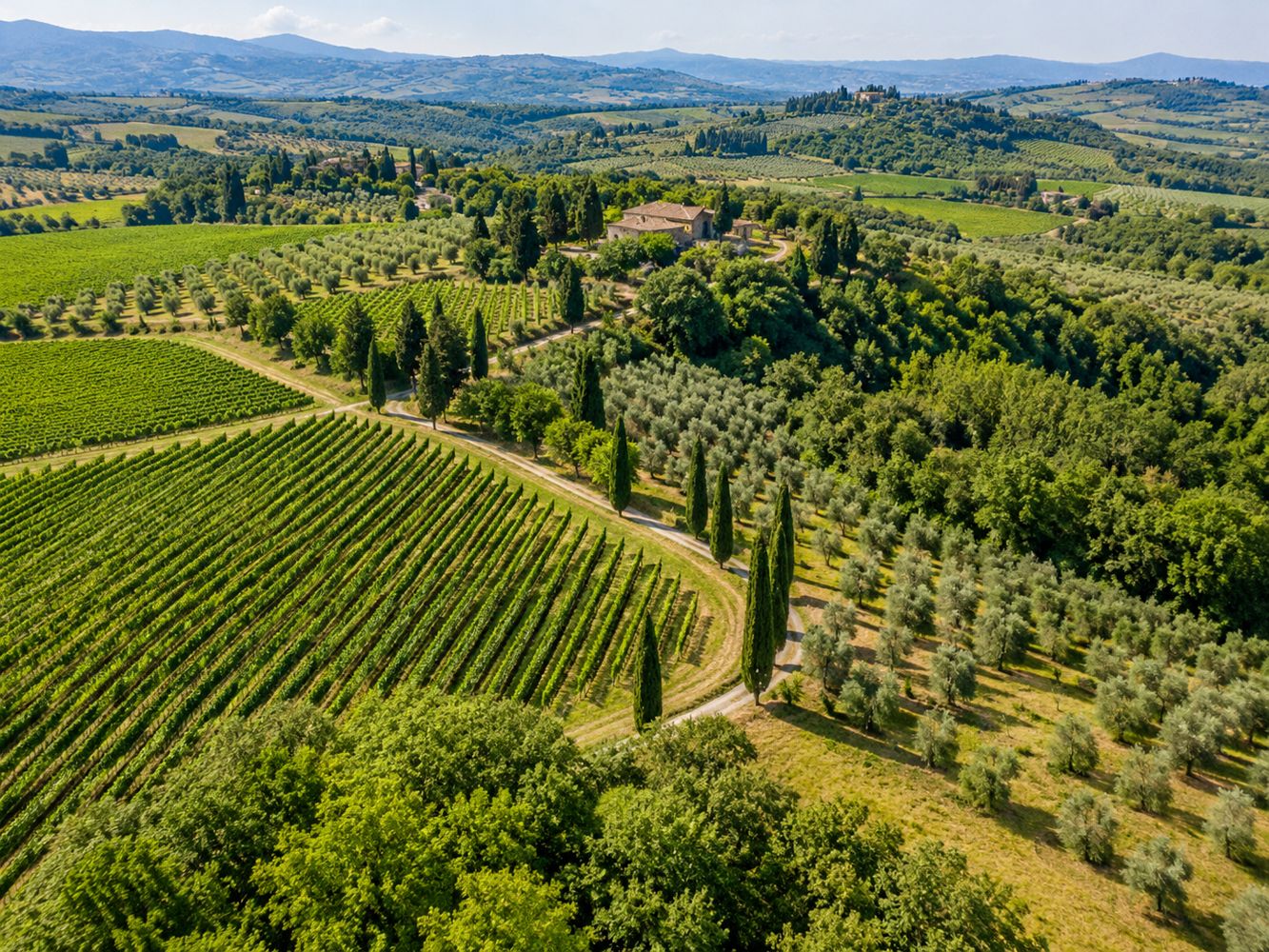 Paesaggio verde visto dall'alto